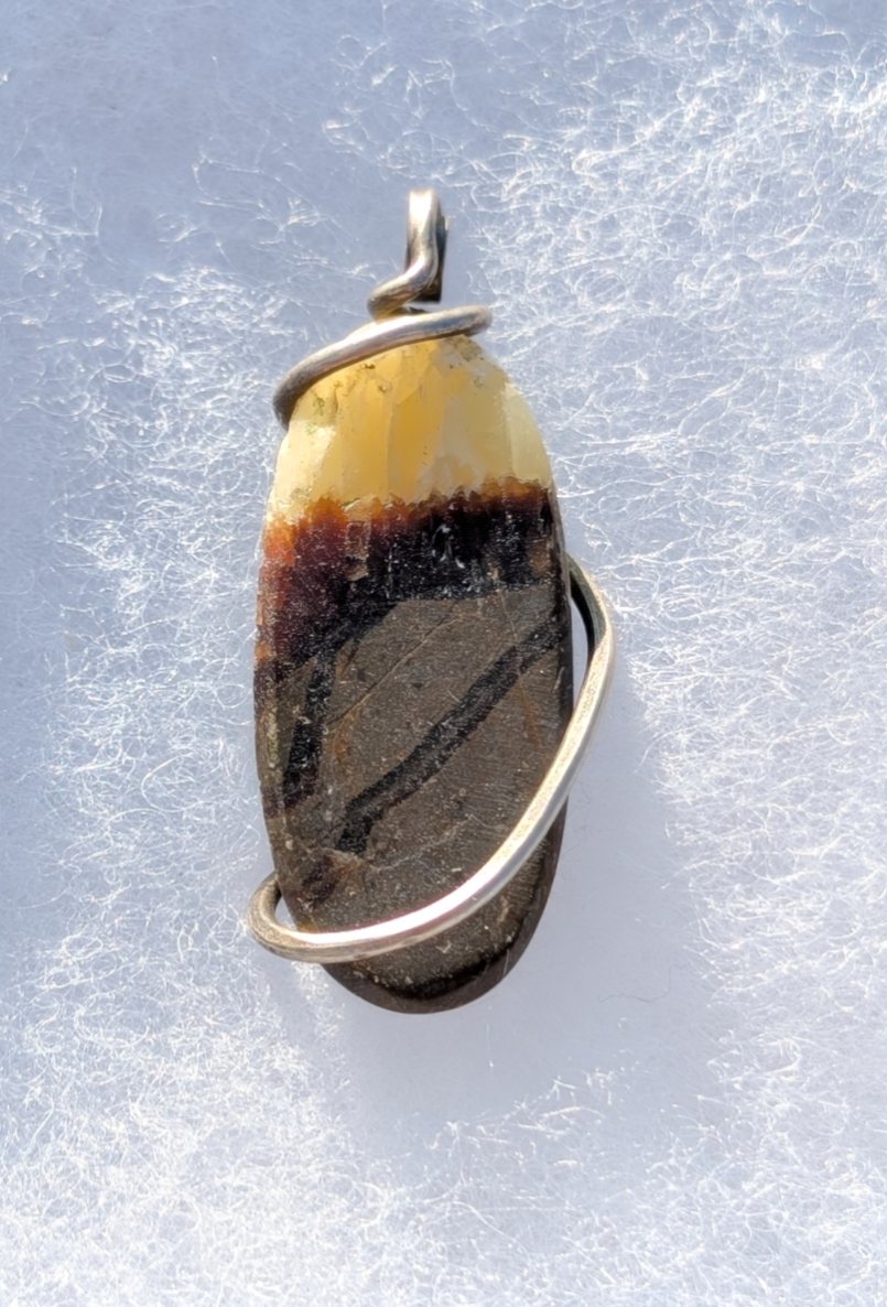 Lions Gate Spiritually Fixed Septarian (Dragon Stone) Sterling Silver Necklace