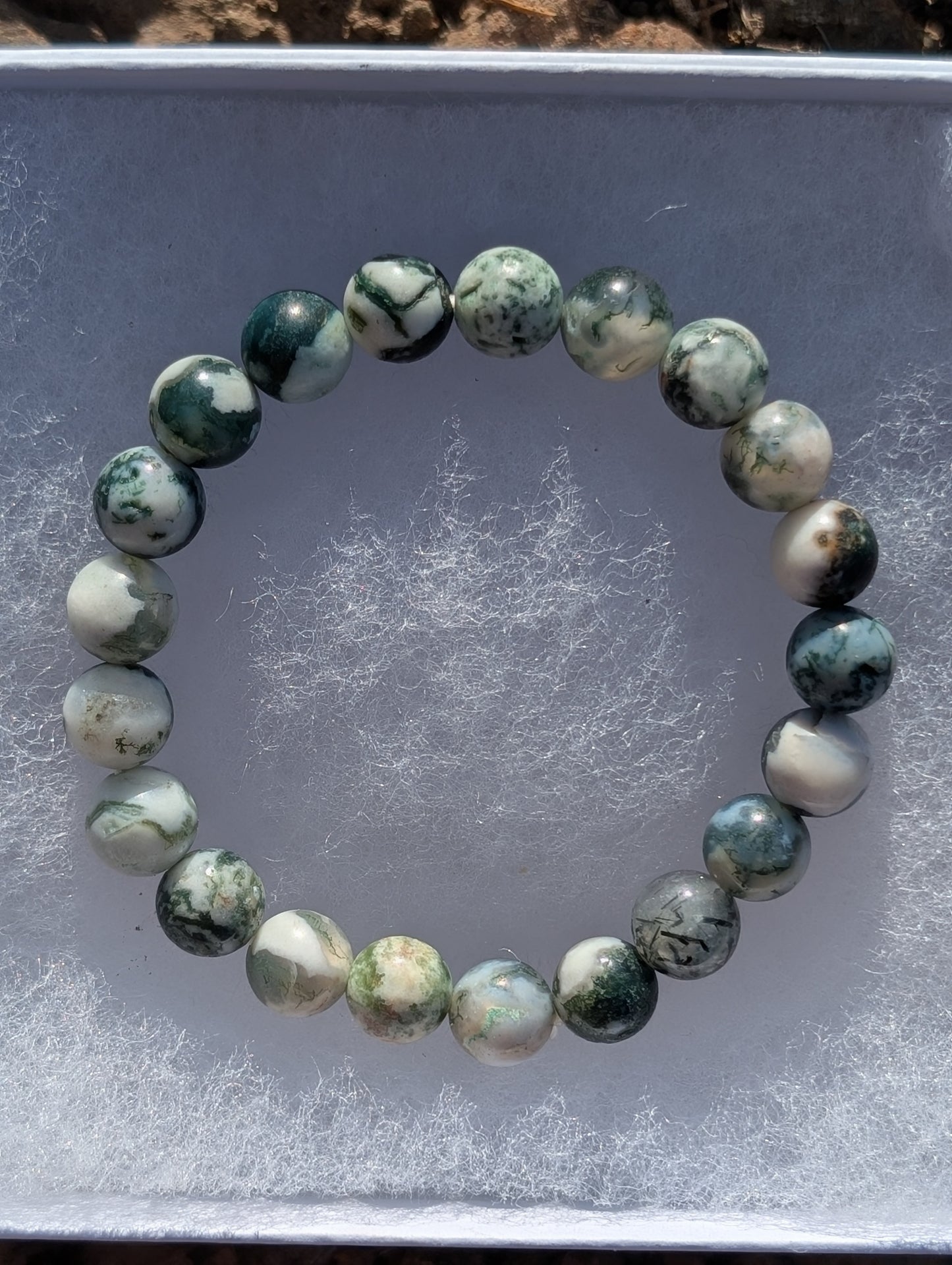 Lions Gate Spiritually Fixed Tree Agate Bracelet