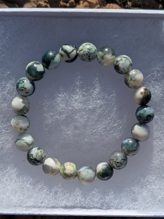 Lions Gate Spiritually Fixed Tree Agate Bracelet