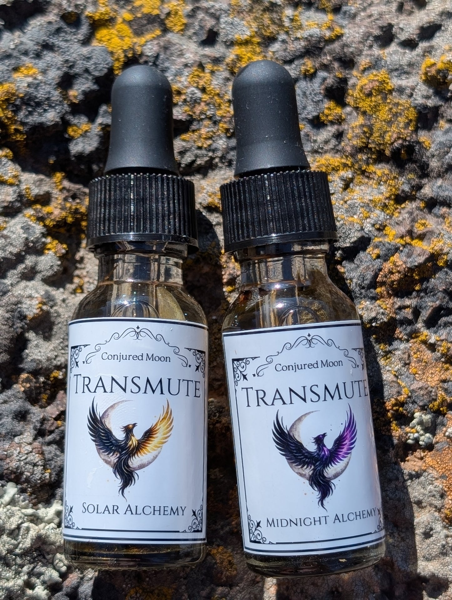 Transmute Oil| Envy, Gossip, B*tch Keep Talking 'bout me make me rich