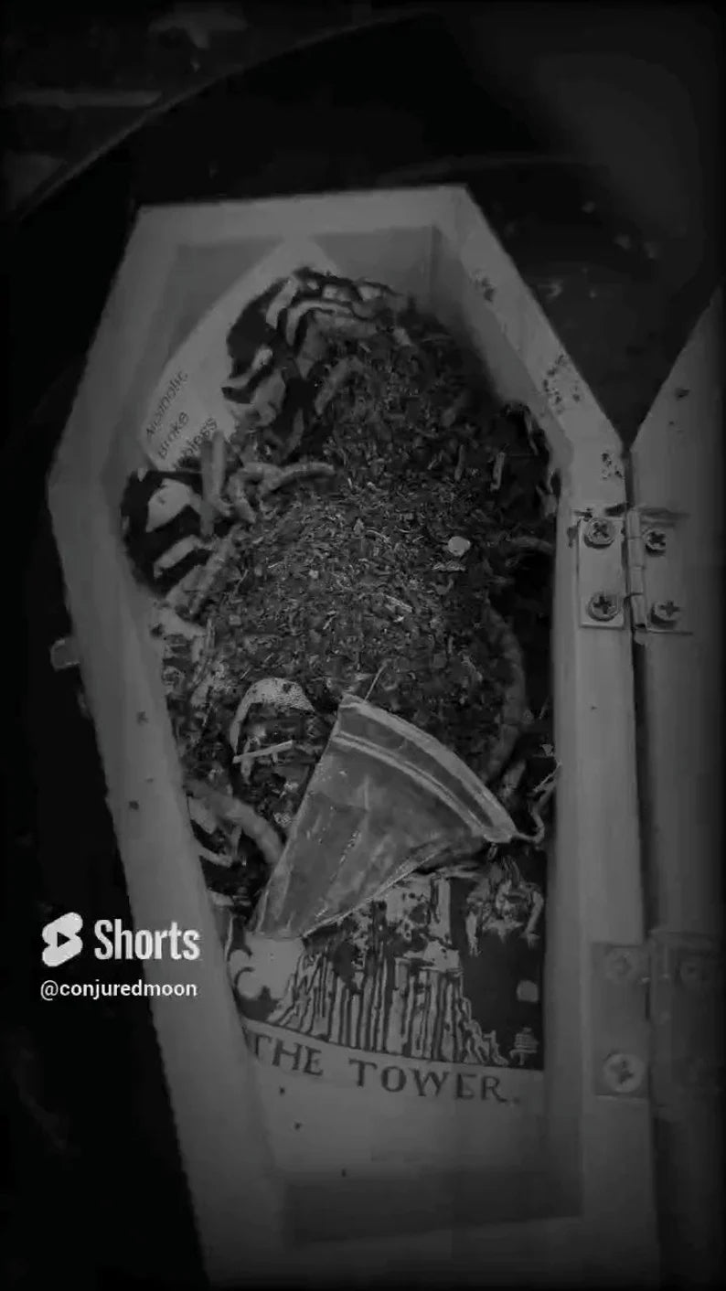 The Tower Curse, Enemy Curse, Revenge Curse, DUME Spell