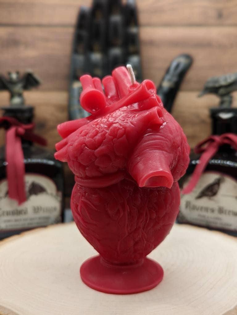 Anatomical Heart Candle