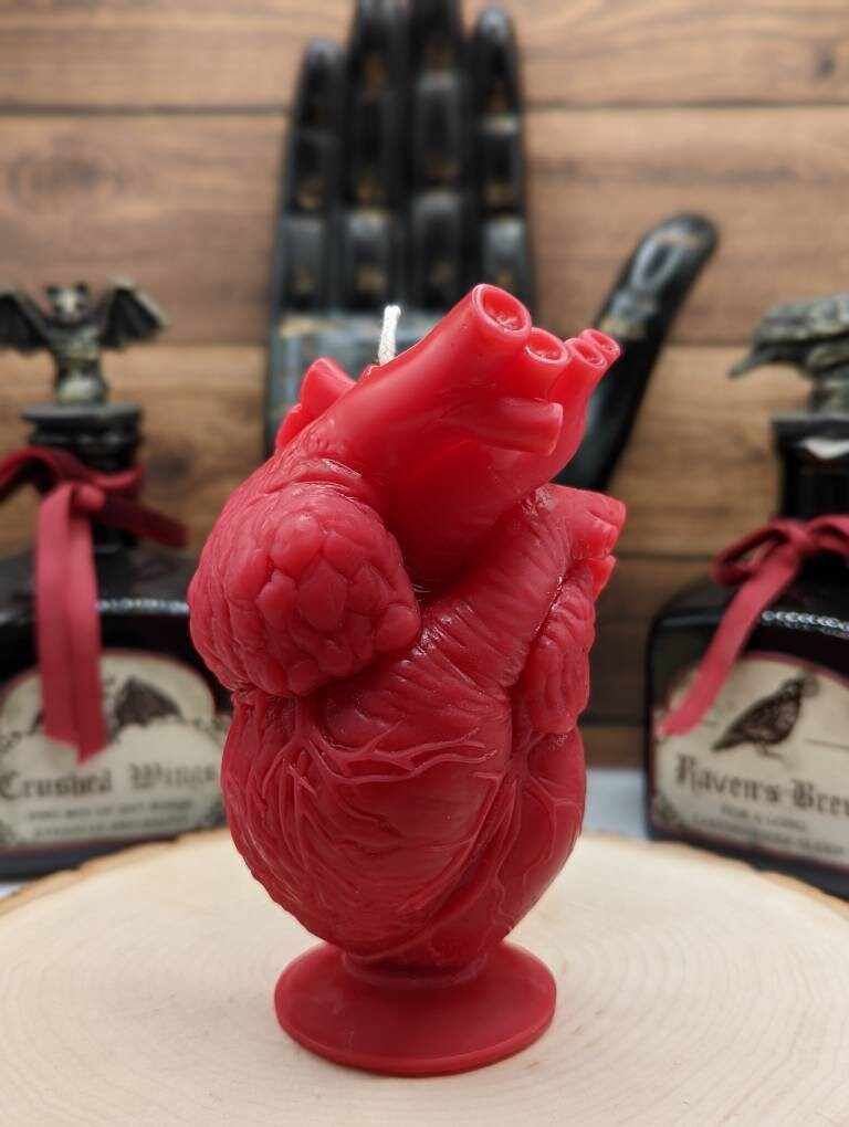 Anatomical Heart Candle