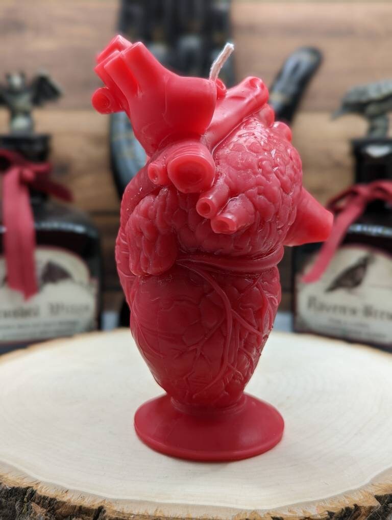 Anatomical Heart Candle