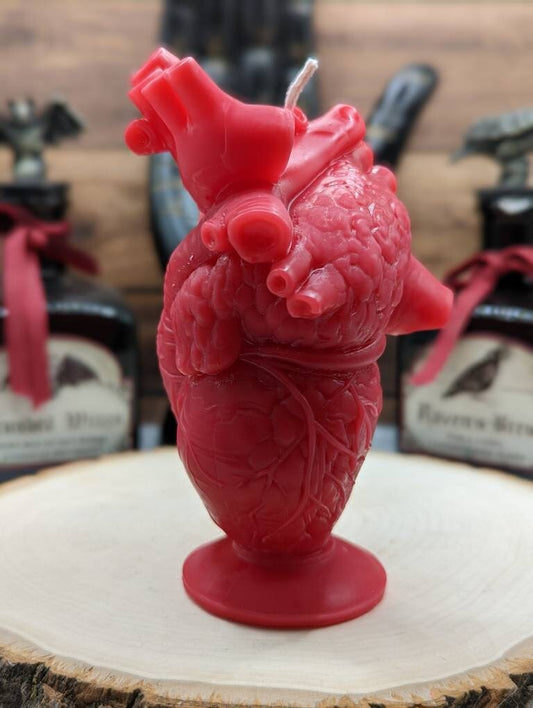 Anatomical Heart Candle